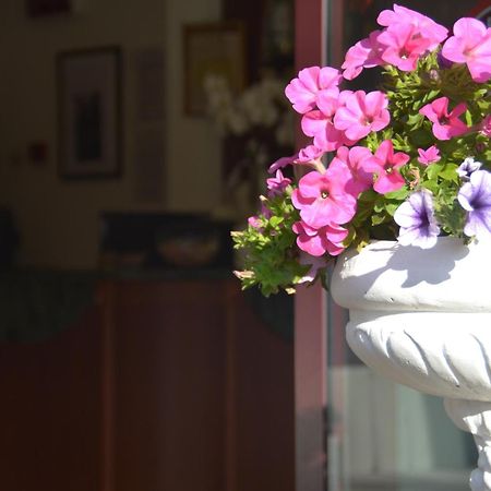 Hotel Bel Sogno リミニ エクステリア 写真