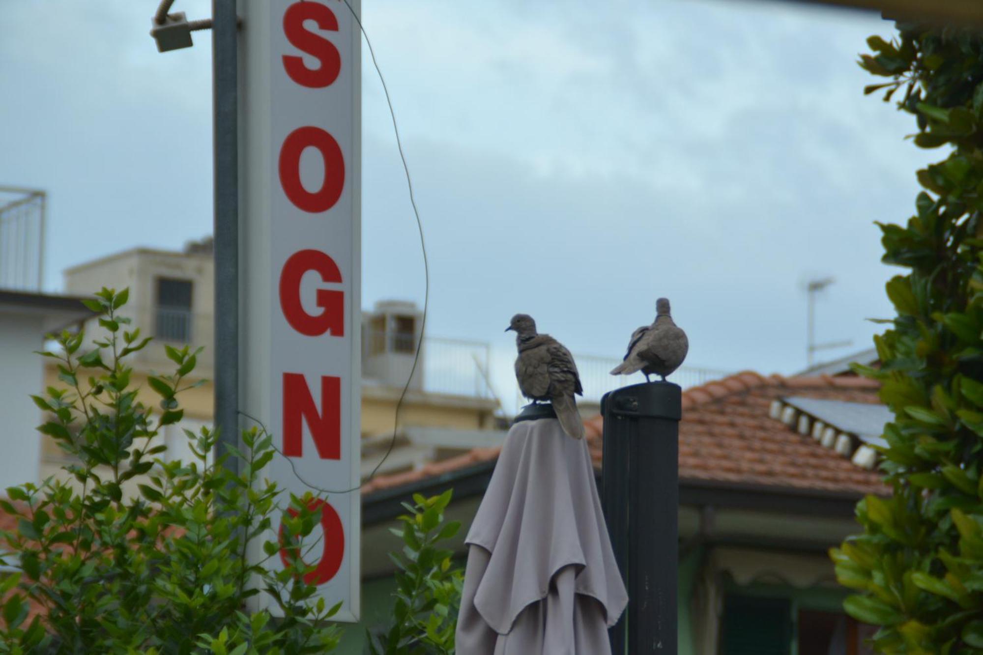 Hotel Bel Sogno リミニ エクステリア 写真